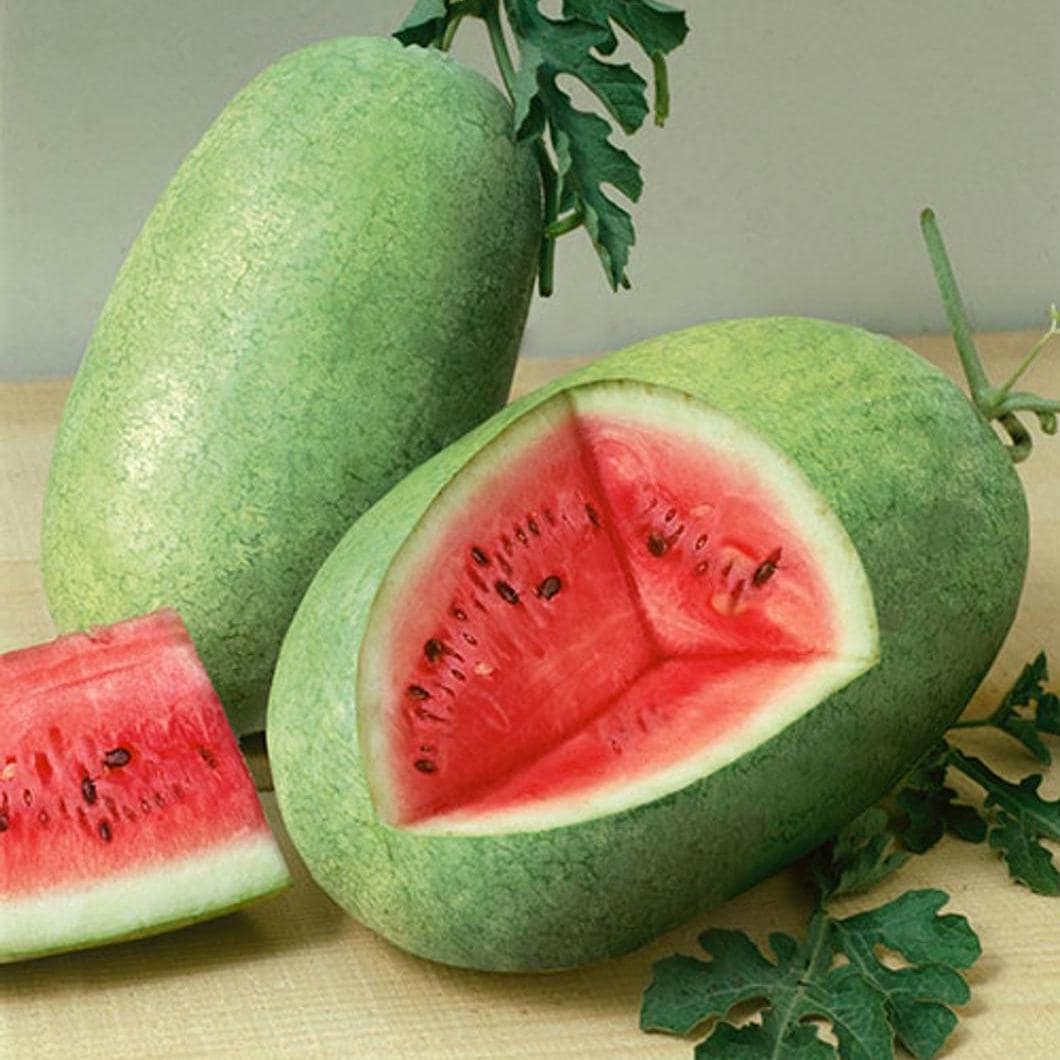 Charleston Gray Watermelon Seeds – Heirloom, Non-GMO, High Yield Melon Seeds