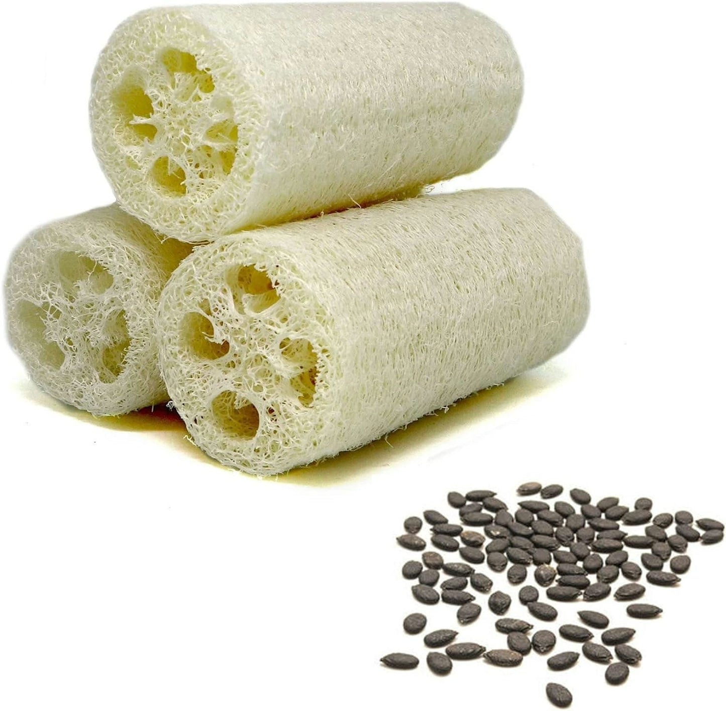 Smooth Luffa Gourd seeds - Vietnam Muop Huong, Vegetable Sponge Seeds