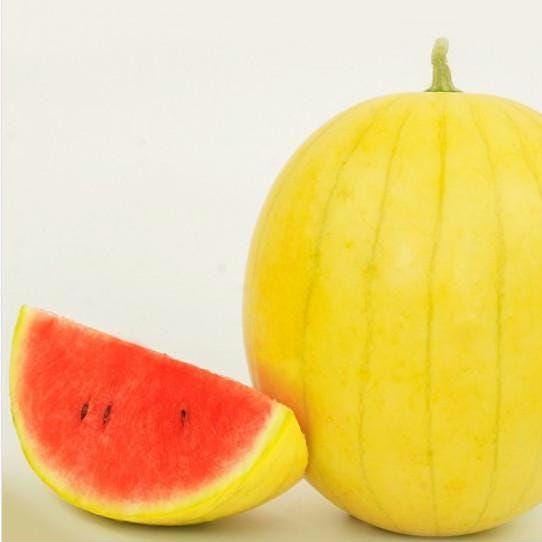 Rare and Delightful  Golden Midget Watermelon Seeds, Heirloom, Non-GMO, Early Maturing, Small and Sweet, Golden-Yellow Rind, Deep Pink Flesh