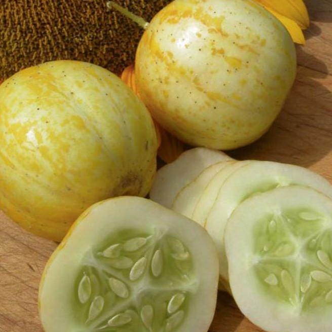 Lemon Cucumber Seeds – Heirloom, Non-GMO, Rare Variety