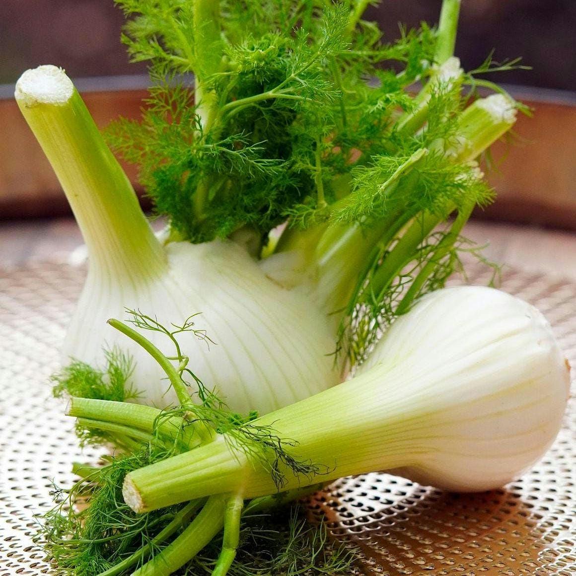 Heirloom Fennel Seeds – Aromatic Herb, Culinary and Medicinal