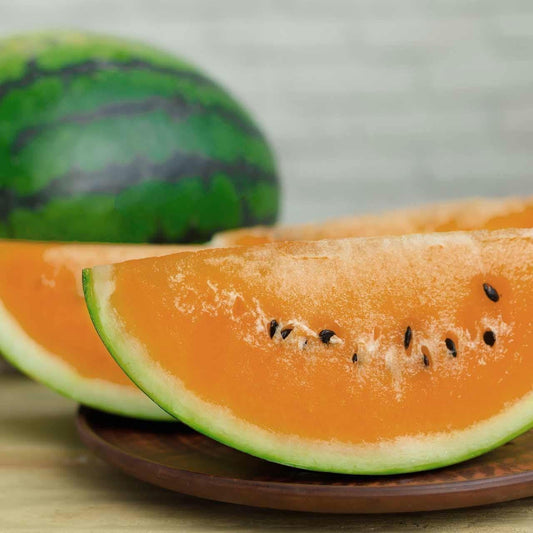 Orange Tendersweet Watermelon Seeds, Heirloom, Non-GMO