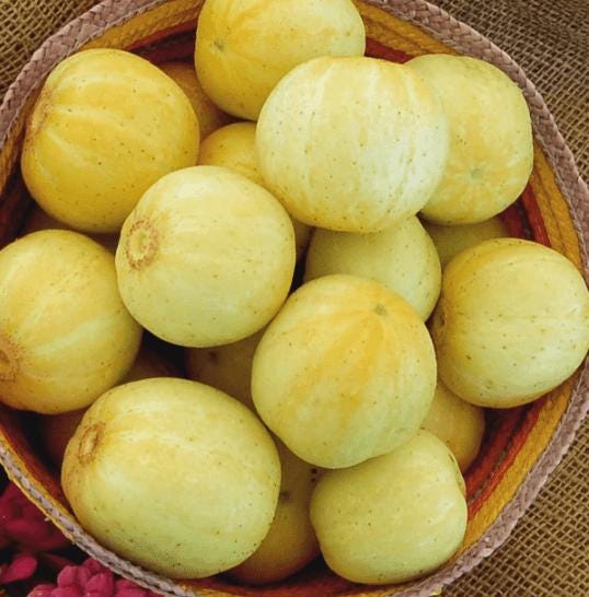 Lemon Cucumber Seeds – Heirloom, Non-GMO, Rare Variety