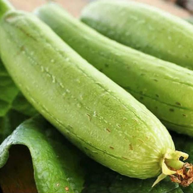 Smooth Luffa Gourd seeds - Vietnam Muop Huong, Vegetable Sponge Seeds
