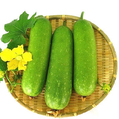 Winter Melon Seeds – Hairy Gourd, High Germination Heirloom Vegetable – Easy-to-Grow Tropical Gourd for Soups, Stews and Stir-Fries