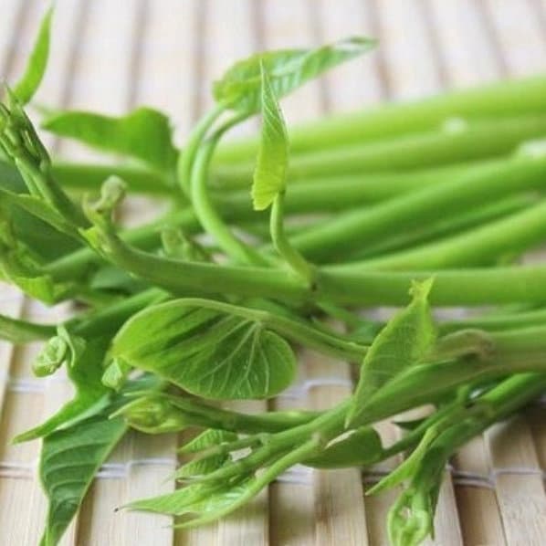 Water Spinach Seeds, Thai Water Morning Glory, Rau Muong Sieu Dot