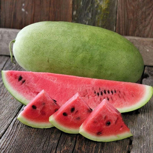 Charleston Gray Watermelon Seeds – Heirloom, Non-GMO, High Yield Melon Seeds