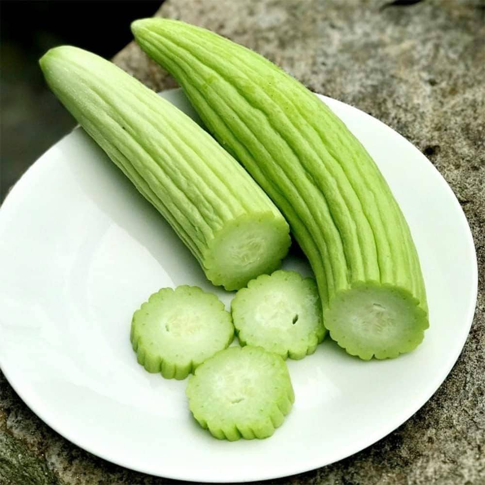 Armenian Yard Long Cucumber Seeds | Heirloom Non-GMO | Crisp, Mild Flavor, Long Light Green Fruit