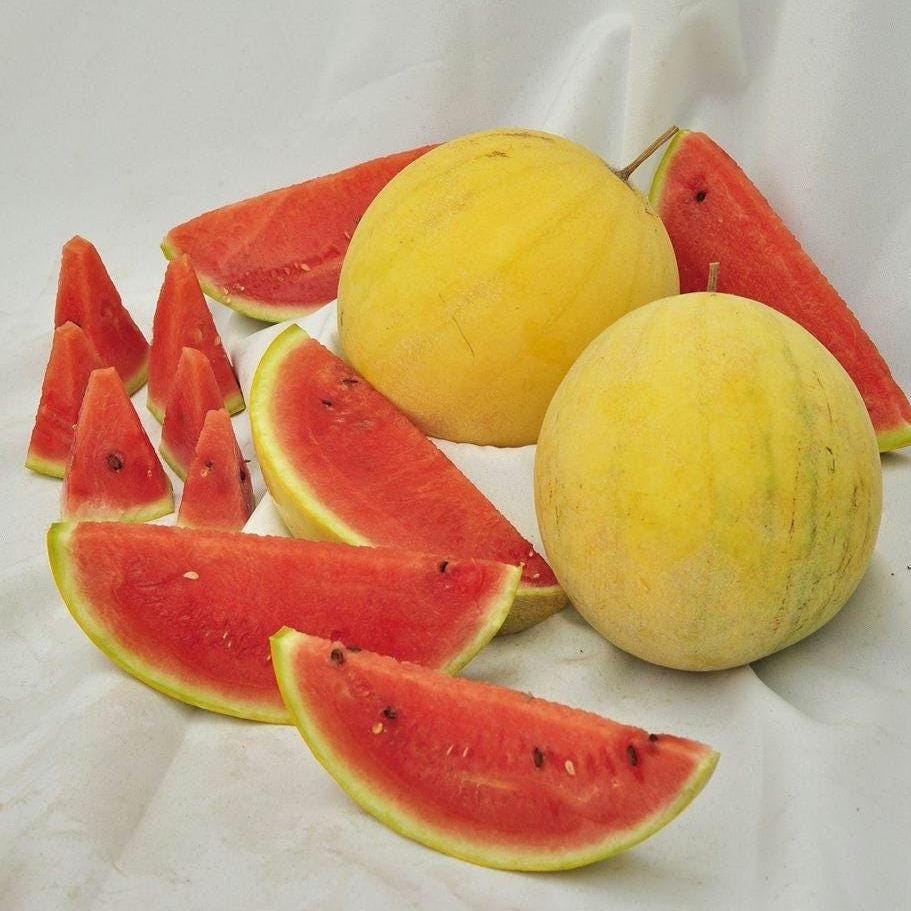 Rare and Delightful  Golden Midget Watermelon Seeds, Heirloom, Non-GMO, Early Maturing, Small and Sweet, Golden-Yellow Rind, Deep Pink Flesh