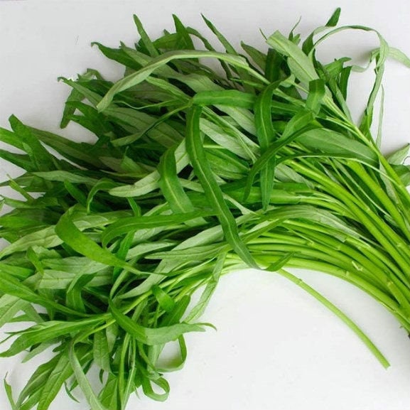Water Spinach Seeds - Rau Muong, Kangkong, Ong Choy