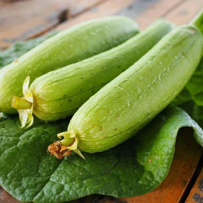 Smooth Luffa Gourd seeds - Vietnam Muop Huong, Vegetable Sponge Seeds