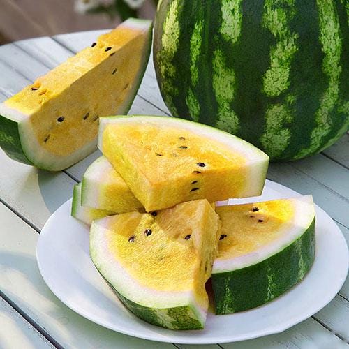 Yellow Crimson Watermelon Seeds, Heirloom Non GMO Organic Melon