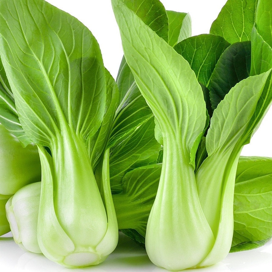Heirloom Bok Choi Seeds, Fast Growing, Easy Grow