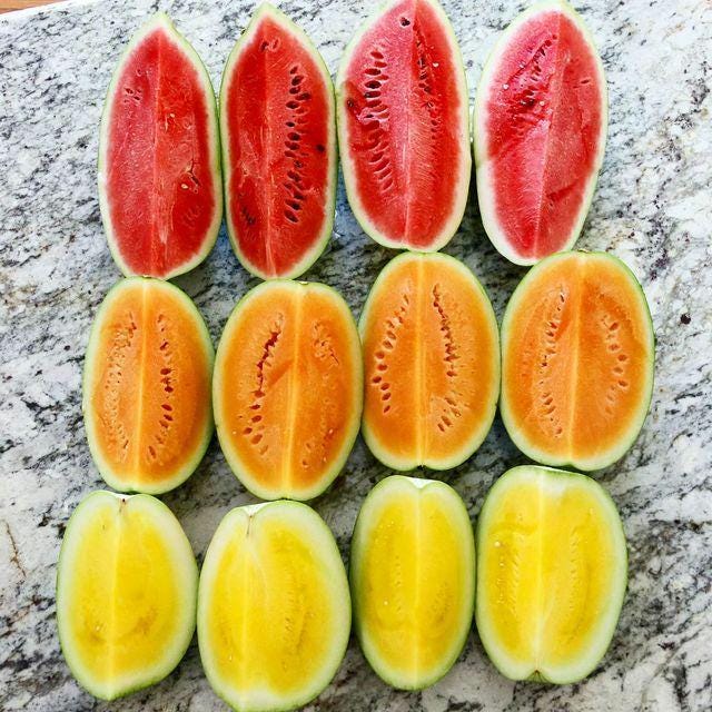 Crimson Sweet Watermelon Seeds, Heirloom Non-GMO