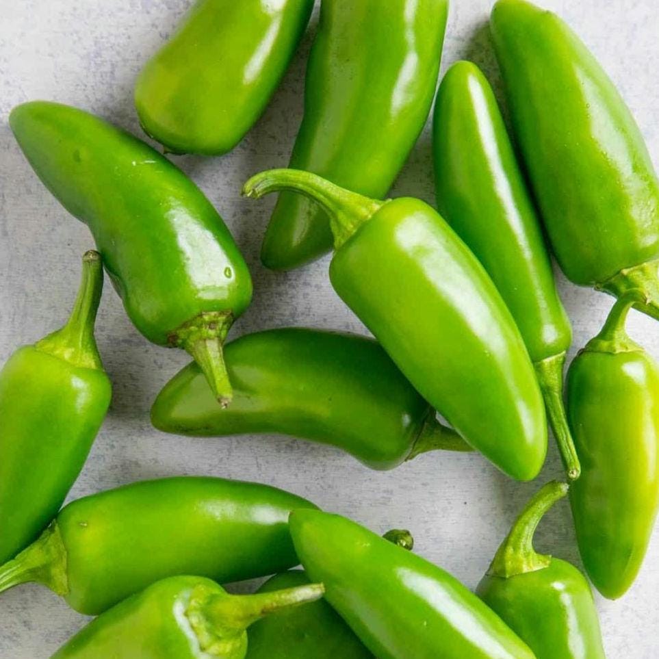 Live Jalapeño Pepper Plant | High Yield, Medium Heat