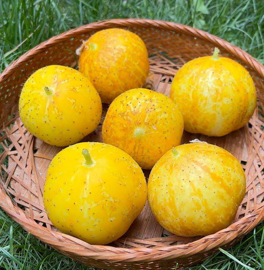 Lemon Cucumber Seeds – Heirloom, Non-GMO, Rare Variety