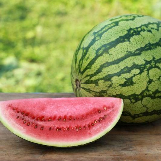 Heirloom Crimson Sweet Watermelon Seeds | Non-GMO & High Yield