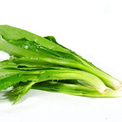 Vietnamese Culantro Seeds (Ngo Gai) – Non-GMO, Bold Flavor Herb