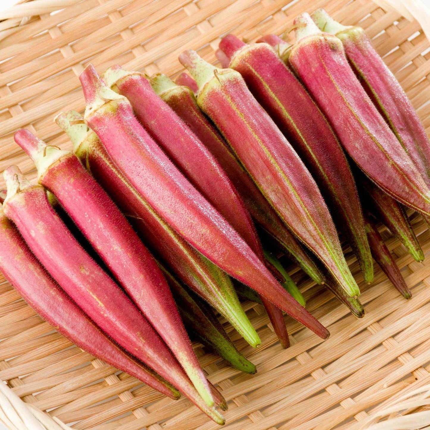 Jing Orange Okra Seeds | Vibrant Color, Tender Pods | Heirloom Non-GMO Orange Okra