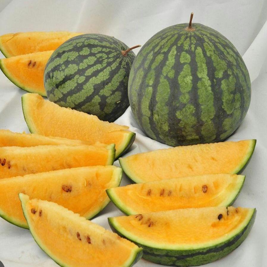 Orange Tendersweet Watermelon Seeds, Heirloom, Non-GMO