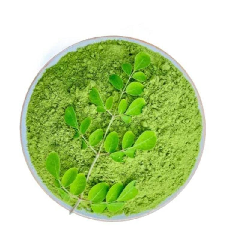 Moringa Seeds – Heirloom, Non-GMO, High Germination Drumstick Tree Seeds, Easy to Grow, Fast-Growing Superfood Tree for Garden or Containers