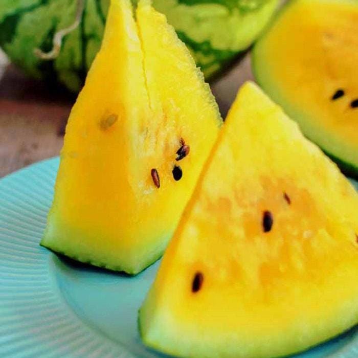 Yellow Crimson Watermelon Seeds, Heirloom Non GMO Organic Melon