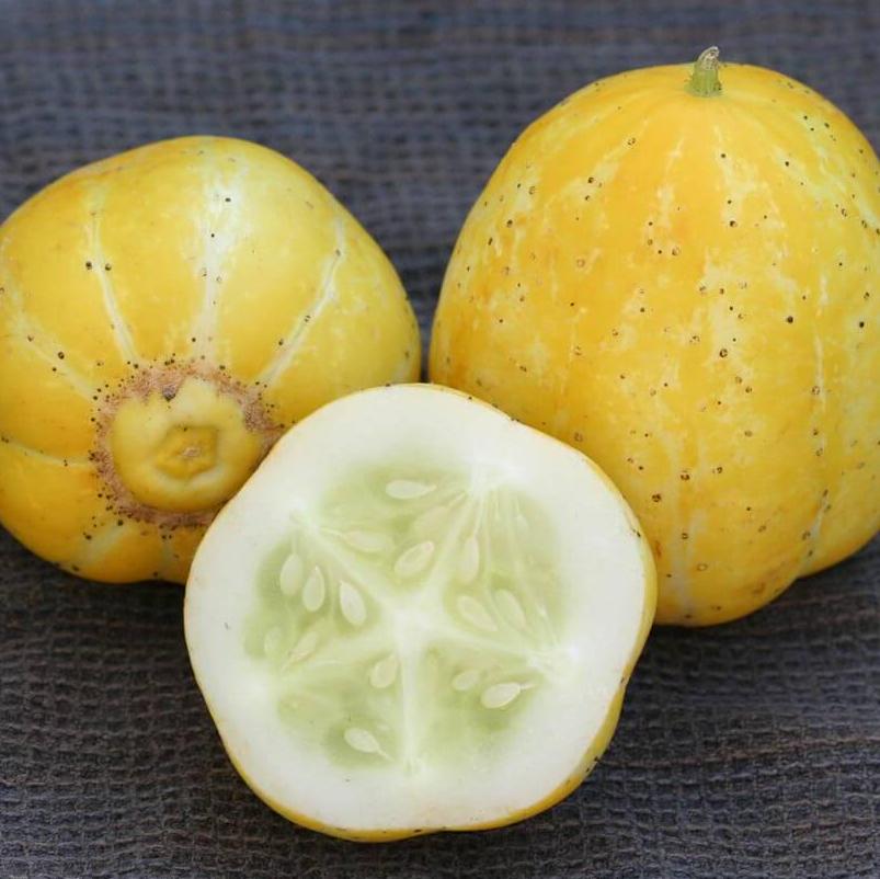 Lemon Cucumber Seeds – Heirloom, Non-GMO, Rare Variety