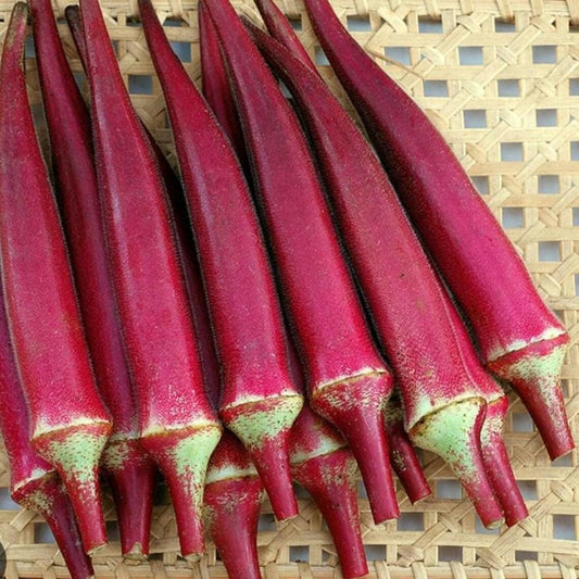 Red Burgundy Okra Seeds | Vibrant Color, Tender Pods | Heirloom Non-GMO Okra
