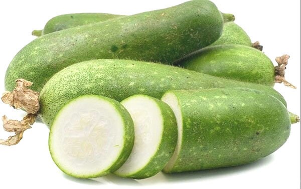 Winter Melon Seeds – Hairy Gourd, High Germination Heirloom Vegetable – Easy-to-Grow Tropical Gourd for Soups, Stews and Stir-Fries