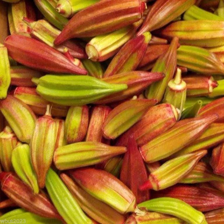 Heirloom Hill Country Red Okra Seeds, Non-GMO, Heat-Tolerant