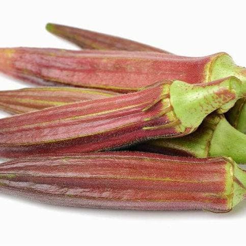 Jing Orange Okra Seeds | Vibrant Color, Tender Pods | Heirloom Non-GMO Orange Okra